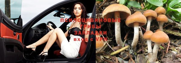 ALPHA PVP Ростов