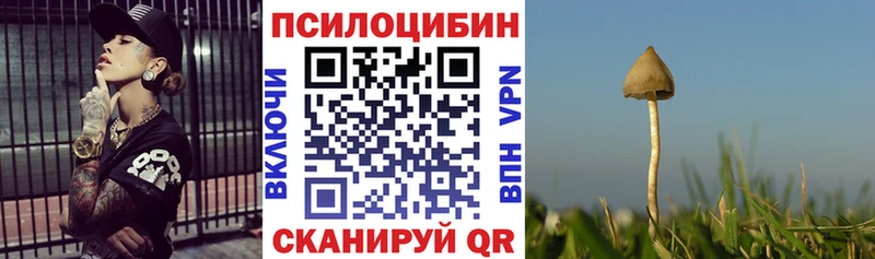 цена наркотик  Фурманов  Галлюциногенные грибы Psilocybe 